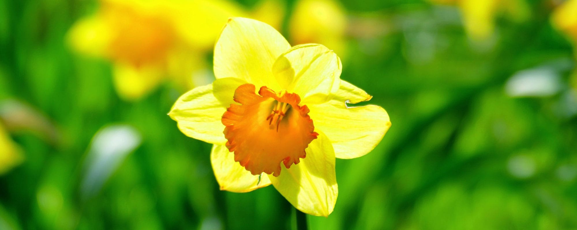 Påskdagsgudstjänst